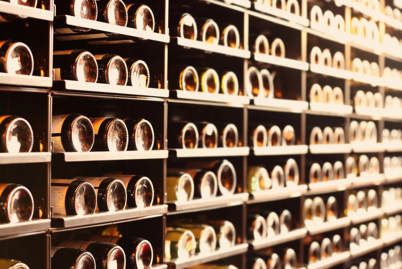 Bottles in racks in wine storage